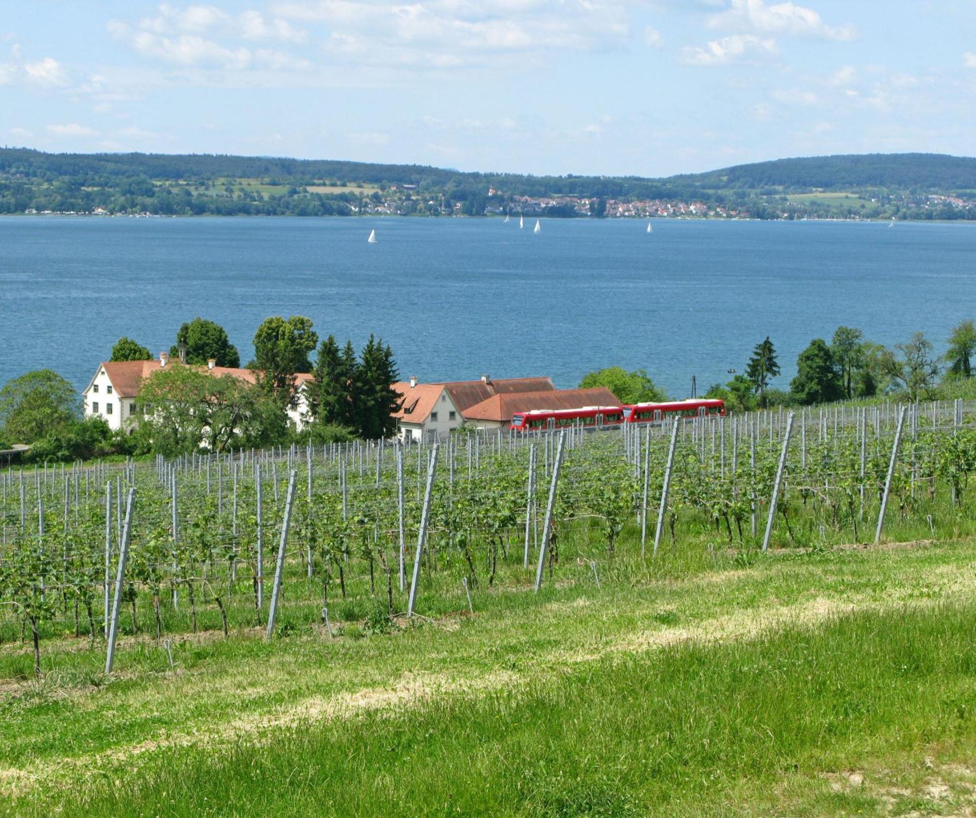 Appartement Ueberlinger Ferienidylle à Uberlingen Extérieur photo